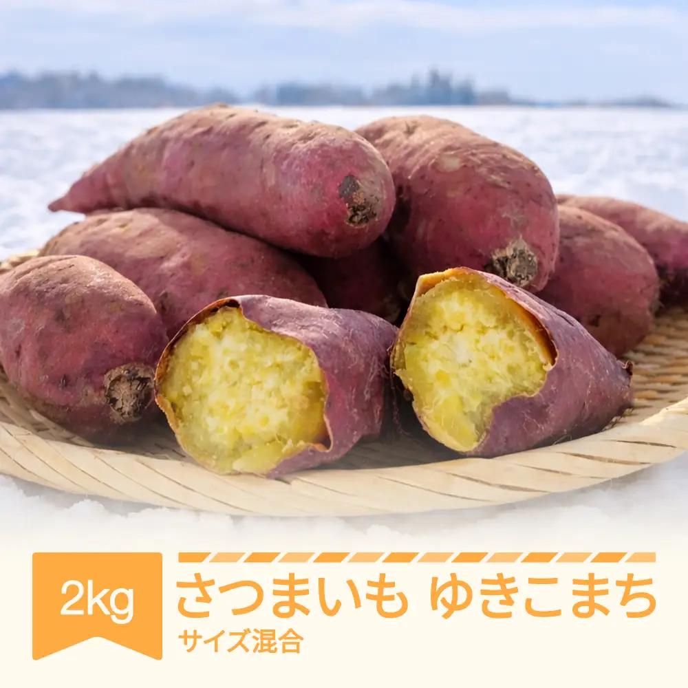 先行予約 さつまいも ゆきこまち 約2kg 令和8年 no-spykx2