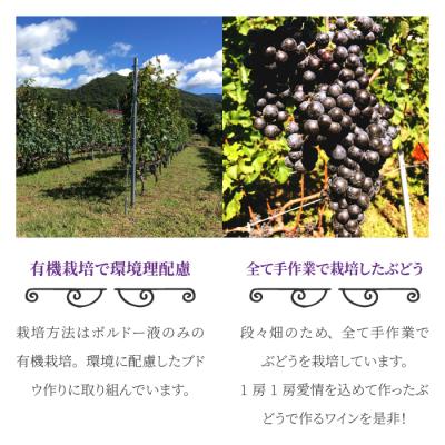 ふるさと納税 東御市 東御市産赤ワイン HIRO 飲み比べセット(2023,2019)|メルロー |  | 03