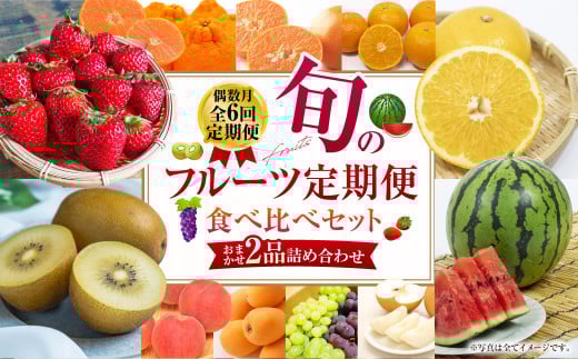 【年6回定期便(偶数月配送)】旬のフルーツ定期便 食べ比べセット 季節により厳選した果物を2品目詰め合わせ 果物 くだもの