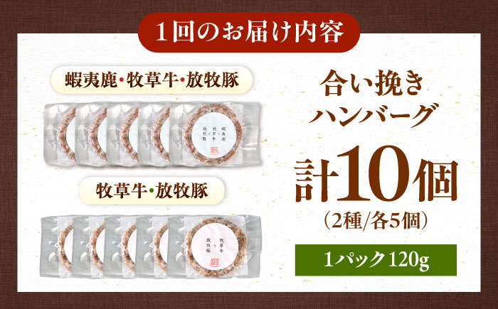【全12回定期便】ハンバーグ 食べ比べ 10個セット（蝦夷鹿/牧草牛/放牧豚）《厚真町》【GOODGOOD株式会社】 ハンバーグ 鹿肉 牛肉 豚肉 セット 食べ比べ 小分け 冷凍配送 ギフト ご褒美 北海道 [AXBP049]