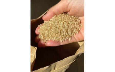 【先行予約】 令和7年産 新米 たかたのゆめ 玄米 10kg まーちゃんファーム 【 オリジナル ブランド米 冷めてもおいしい お弁当 おにぎり ギフト 】10月下旬頃より順次発送予定 RT2608