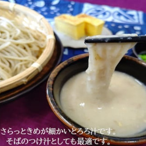 とろろ 冷凍 125g × 4個 自然薯 100％ 小分け セット とろろ汁 長芋 山芋 静岡県 藤枝市