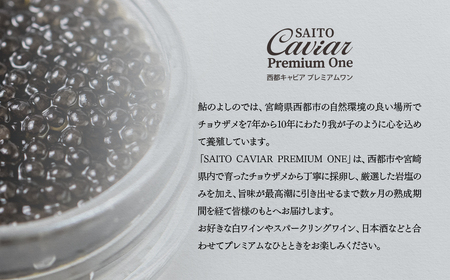 SAITO CAVIAR PREMIUM ONE SHIRO 20g・BAERII 20g　キャビア 西都市オリジナル＜7.5-12＞鮎のよしの