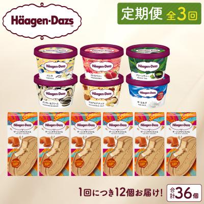 ふるさと納税 浜中町 <全3回定期便・連続>ハーゲンダッツ『ミニカップ&amp;クリスピーサンド(36個)』_H0016-137