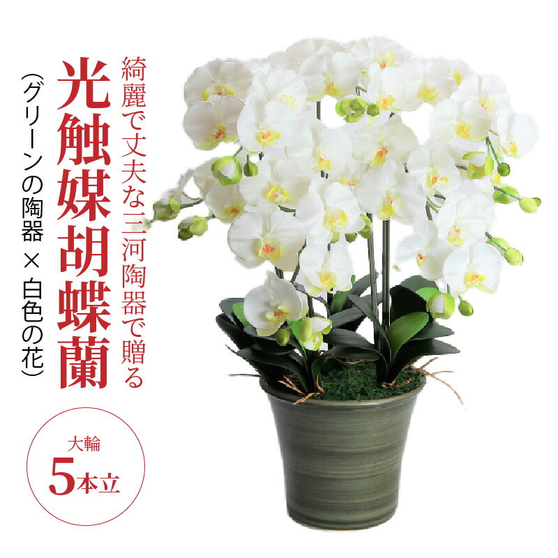 【ふるさと納税】造花 胡蝶蘭 白色 大輪 5本立 三河焼 植木鉢 陶器 グリーン色 三河 消臭効果 光触媒加工 光触媒 インテリア 三河陶器 贈り物 ギフト お祝い 出産 誕生日 お取り寄せ 愛知県 碧南市 送料無料