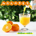 【ふるさと納税】みかんのきもち 280ml×24本 2箱セット(48本)　佐賀県 上峰町 果汁100％ 可愛いパッケージ ビタミン 飲みきりサイズ