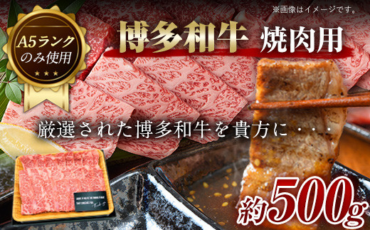 
博多和牛焼肉用 500g《30日以内に出荷予定(土日祝除く)》小竹町 博多和牛 株式会社MEAT PLUS 牛肉 A5ランク のみ使用 厳選部位
