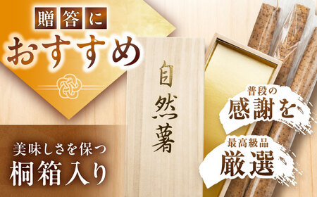 【贈答用】高級自然薯 桐箱入（800g）/ とろろ とろろ とろろ とろろ とろろ / 恵那市 / 水戸屋[AUFZ008]