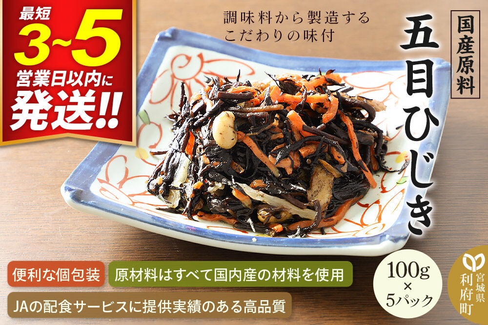国産原料 五目ひじき 100g×5パック|06_kkm-390501