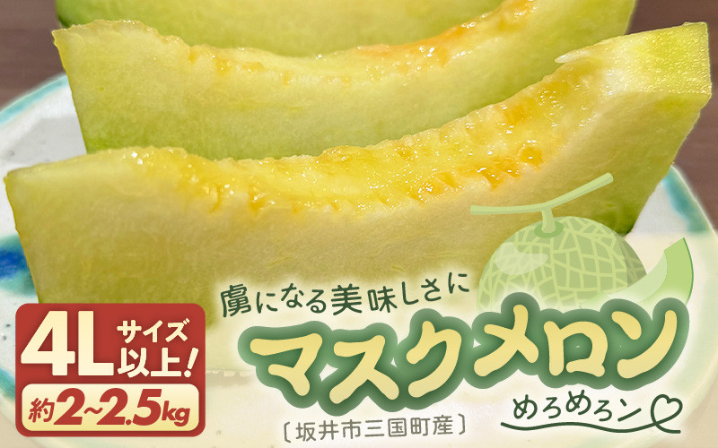 
            【先行予約】 マスクメロン 4Lサイズ以上 1玉 （約2～2.5kg） 虜になる美味しさにめろめろン? 大切な人の笑顔がみたいあなたへ 【2025年10月下旬以降順次発送予定】【メロン めろん フルーツ デザート 果物 くだもの 果実 青肉 糖度 甘い ジューシー お取り寄せ グルメ 産地直送】 [A-16204]
          