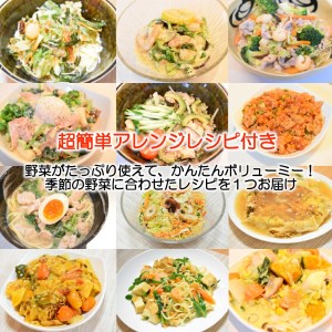 長崎皿うどん（かた焼きそば）8人前 & 新鮮具材セット 野菜10品目 & 太陽卵6個 本場 旨い / 吉岡青果 / 長崎県 雲仙市[item0727]