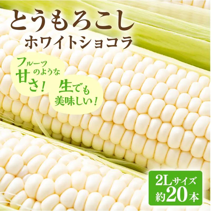 とうもろこし ホワイトコーン ホワイトショコラ 富良野産【約20本 2Lサイズ】
