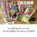 【ふるさと納税】＜2回　定期便＞【JA全農京都】半年に1回配送！季節の京野菜セット|京都 京都市 野菜 定期便 季節 京野菜 JA全農京都 セット 詰め合わせ