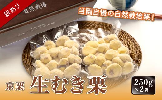 《12月発送》【訳あり】京栗 生むき栗 冷凍 500g（250g×2袋）京都 綾部 丹波栗 自然栽培 京都府産 農家直送 国産 わけあり 訳アリ 無農薬 果物 フルーツ