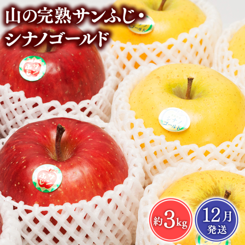 【2026年12月発送】 吹田りんご園 山の完熟サンふじ・シナノゴールド約3kg 【吹田りんご園・青森りんご・平川市広船産・12月】