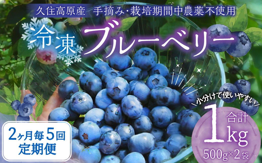 
            【2ヶ月毎5回 定期便】久住高原 手摘みブルーベリー 冷凍 500g 2袋 計5kg 小分け 栽培期間中農薬不使用 【2025年7月下旬より順次発送開始予定】
          