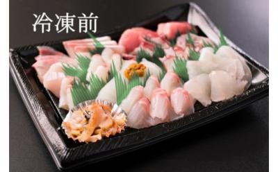 (1906)【定期便】 刺身 新鮮 盛り合わせ 仙崎発旬のお刺身盛合せ 2-3人前 3D冷凍 長門市 隔月発送 全6回