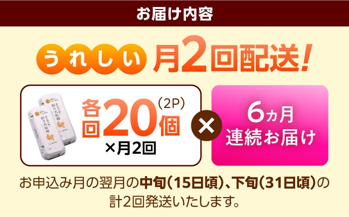 たまご 卵 放牧卵 平飼い卵 国産卵 タマゴ 玉子 鶏卵 鶏 卵黄 月2回
