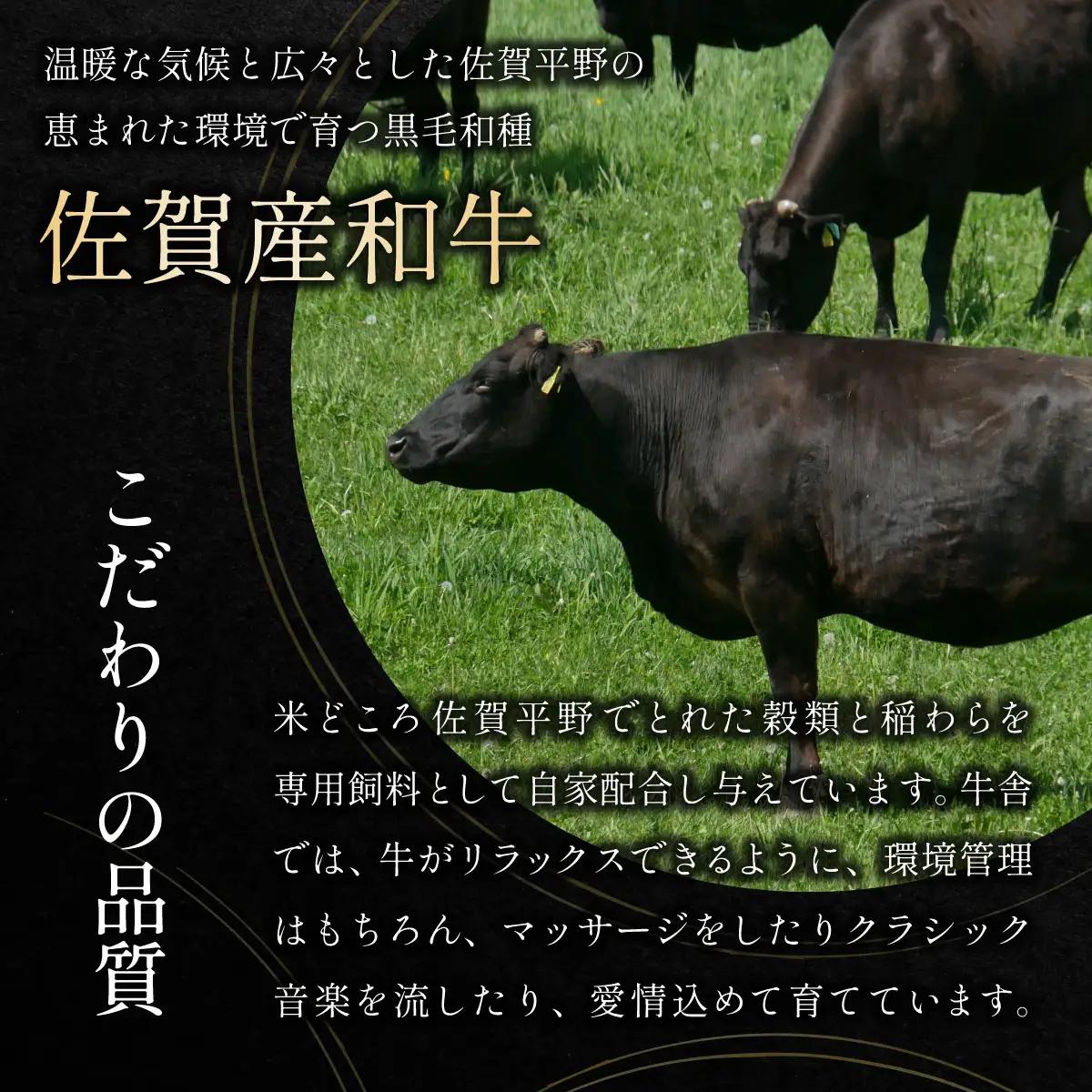 訳アリ 佐賀産和牛切り落とし600g