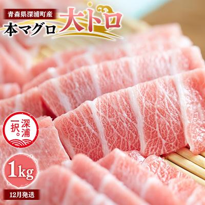 ふるさと納税 深浦町 天然本マグロ 大トロ 1kg 200g×5 青森県深浦町産  冷凍柵
