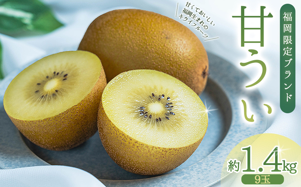 
                  福岡県産 キウイ 甘うぃ 約1.4kg (9玉) 3W25
                