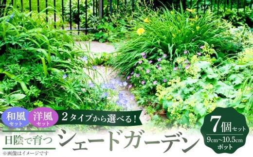 
            【選べるセット】2タイプから選べる！日陰で育つシェードガーデン
          