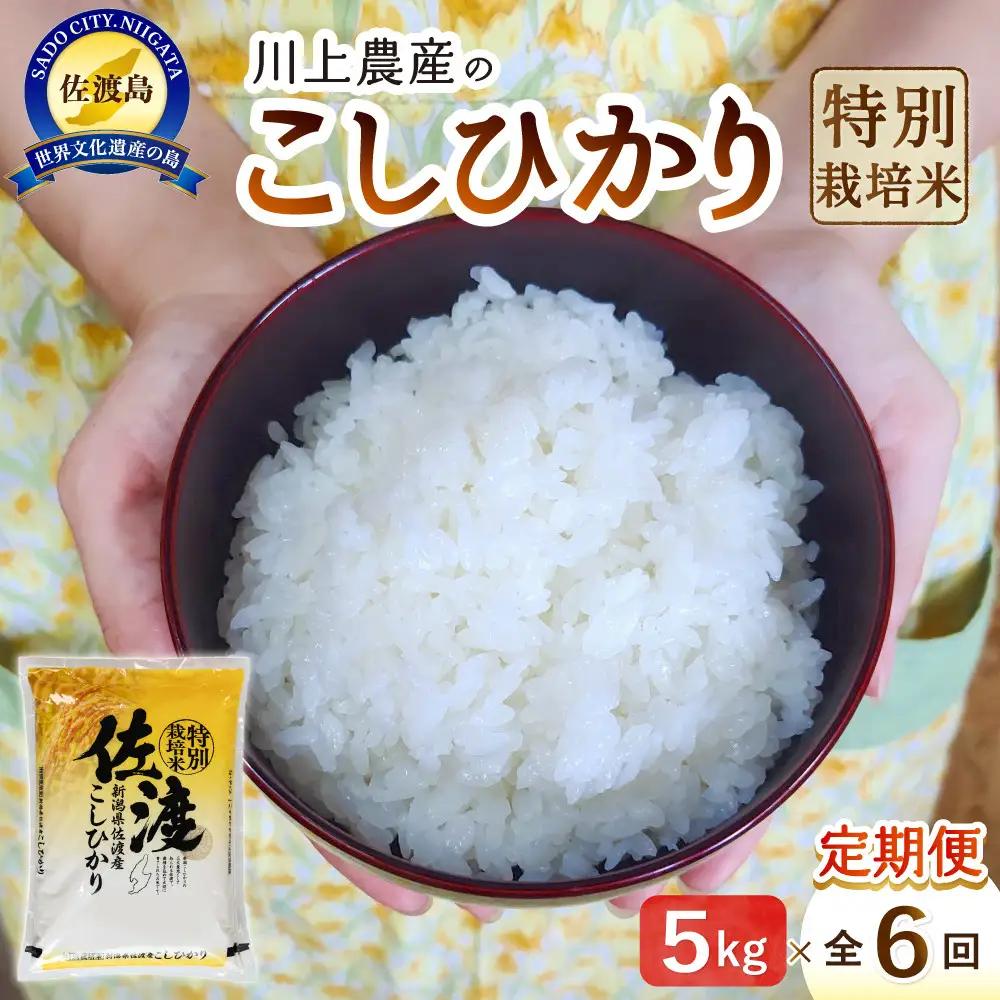 【レビューキャンペーン実施中！】令和7年産 佐渡 川上農産のコシヒカリ 定期便（5kg×全6回）