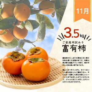 定期便【全3回/10・11・12月】紀州和歌山産旬のご家庭用果物定期便 (ひらたねなし柿・富有柿・みかん)【tkb379】