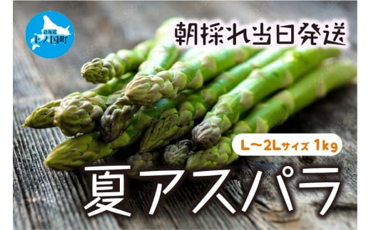 【2025年夏発送】北海道上ノ国町産 わかさ農園の夏アスパラ　L～2L（1㎏）