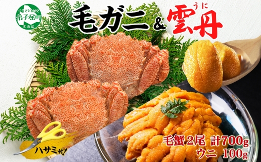 3418. 毛蟹 2尾 計700g前後 うに チリ産 冷凍 100g 専用ハサミ・食べ方ガイド付き 毛ガニ 毛がに 蟹 カニ かに 蟹肉 カニ味噌  ウニ 雲丹 海鮮 ボイル 送料無料 北海道 弟子屈町
