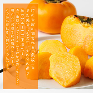 ＜先行予約受付中！2026年10月下旬～11月下旬に順次発送予定＞秋のフルーツの王様・ブランド柿 秋王 (約計1.2kg・3Lサイズ4玉入り) かき カキ フルーツ 果物 くだもの 福岡限定 オリジナ