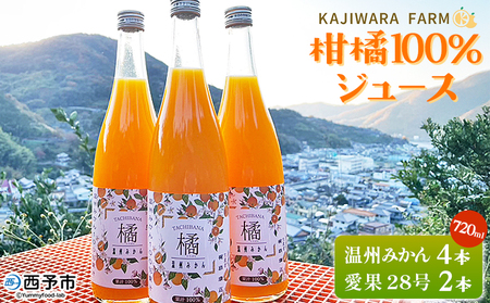 ＜柑橘100％ジュース （温州みかん4本＆愛果28号2本）＞ 温州みかん 愛果28号 紅まどんな 高級柑橘 ストレートジュース 果汁100％ ミカン 蜜柑 果物 柑橘 かじわらFARM 愛媛県 西予市【常温】『1か月以内に順次出荷予定』 MKF0002