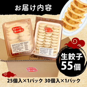 【 メディア出演多数 】 やさしい 生 餃子 55個 餃子