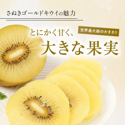 ふるさと納税 高松市 【先行受付2025年】さぬきゴールドキウイ化粧箱　約1.4kg |  | 01