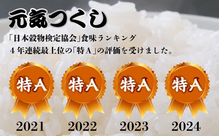令和7年産【特A】評価のお米「元気つくし」5kg×2袋 [10kg] [玄米]《築上町》【株式会社ベネフィス】[ABDF031]