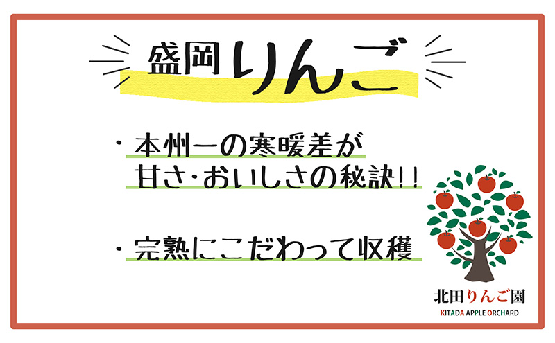 先行予約【12月発送】盛岡 北田りんご園 完熟サンふじ 約5kg（14～20玉） 果物類 フルーツ デザート 果汁 甘い 酸味 バランス 