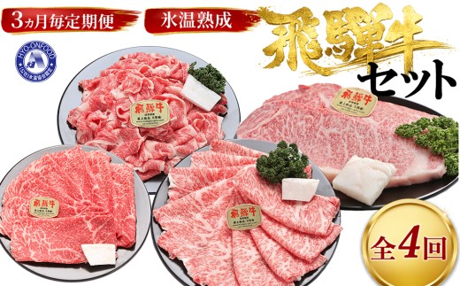 【3ヵ月毎定期便】氷温（R）熟成飛騨牛セット　全4回 [No.902] ／ お肉 冷凍 旨み 岐阜県