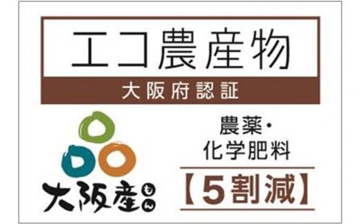 【貝塚市産】特選ピオーネ３～４房入り 2kg以上　2025年8月より発送