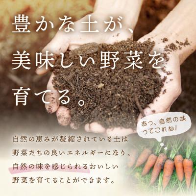 ふるさと納税 京丹後市 【先行予約】11月より順次発送《てんとうむしばたけ》冬のオーガニック野菜セット　有機野菜6〜7種前後 |  | 01