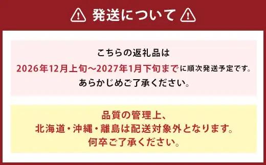 福岡県産 あまおう 合計約540g 約270g×2パック 【2026年12月上旬～2027年1月下旬迄発送】
