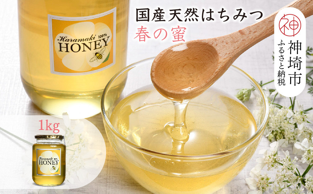 
            【数量限定】2025年産 国産天然蜂蜜（春の蜜）1kg【蜂蜜 パンケーキ ヨーグルト 甘み フルーティ とろとろ】(H049115)
          