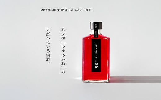 966.MIYAYOSHI No.06 LARGE BOTTLE（A966-1）