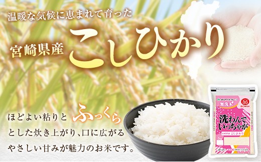 令和8年産 無洗米 こしひかり 10kg 宮崎県産 米 コメ 精米 BG無洗米 HACCP コシヒカリ