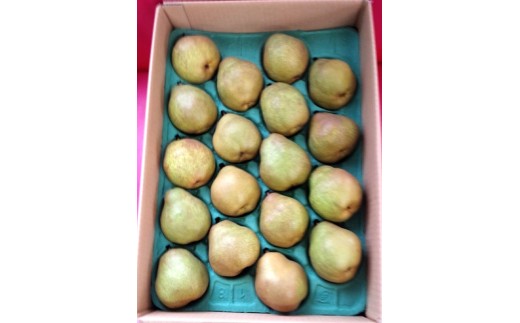 西洋梨（ラ・フランス）５ｋｇ　１６～１８玉　ご家庭用　0042-2608