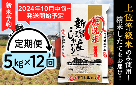 M05Z【無洗米】新潟県産コシヒカリ5kg【12ヶ月連続お届け】