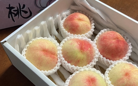 和歌山県産の桃 約2kg（6~8個） [2025年7月上旬～8月上旬発送] [Ei1]