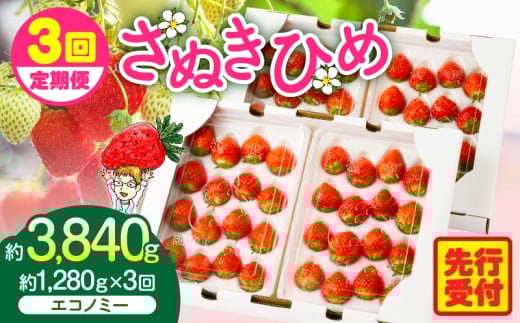 【2026年発送分 先行受付】苺音エコノミー　〜さぬきひめいちご約1,280g〜3回定期便 | おすすめ 人気 果実 果肉 果物 フルーツ デザート 贈り物 苺 さぬきひめ 贈答 ご褒美 ギフト 旬の果物 季節の果物 旬 季節 青果物 香川県 三木町  |_mk137-t001