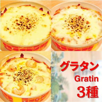 ふるさと納税 高石市 レンジで簡単!濃厚とろける　3種の贅沢グラタン(ホワイトソース・トマトソース・エビのトマトソース)　 |  | 01