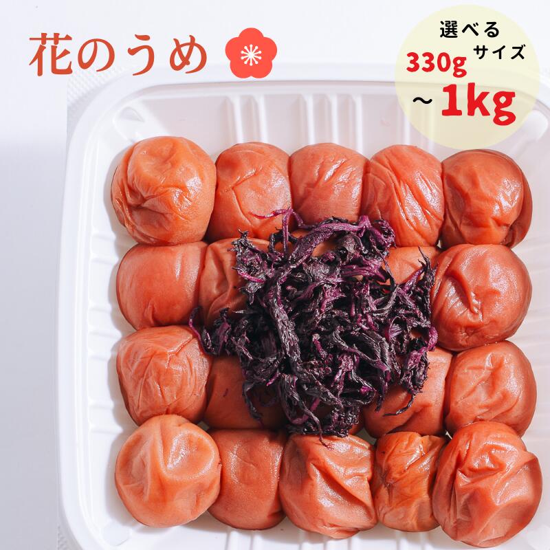 【ふるさと納税】紀州南高梅 花のうめ しそ漬け 330g～1kg | 梅干し 南高梅 ウメ うめ 紫蘇 調味料不使用