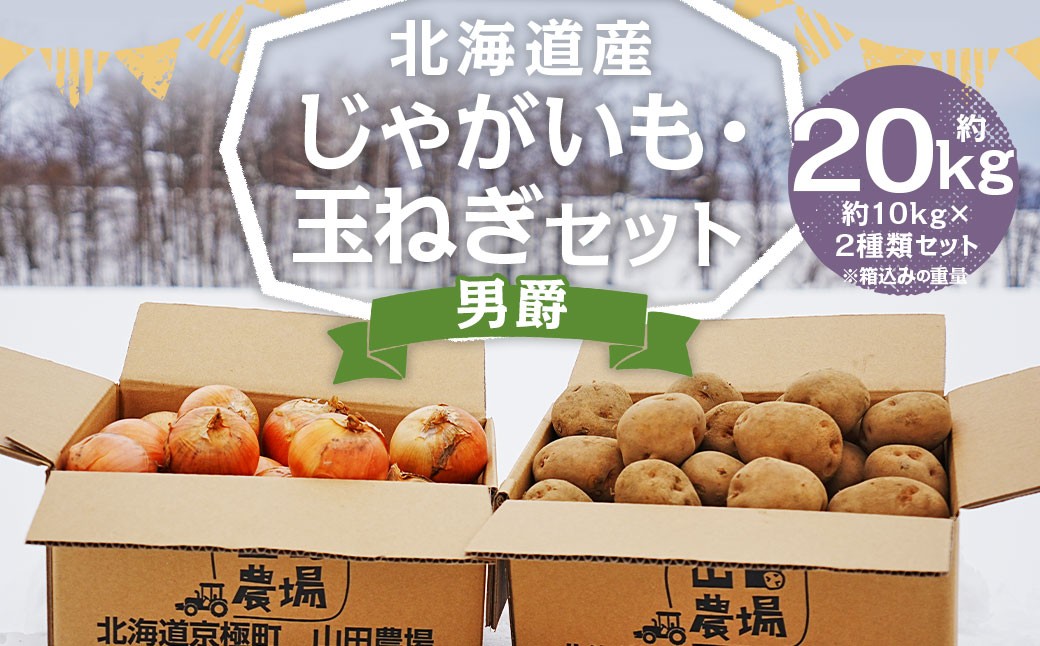 
                  北海道産 じゃがいも 男爵 玉ねぎ セット M～2Lサイズ混載 各約10kg 合計約20kg 2箱 セット 野菜 ジャガイモ 玉葱 たまねぎ 山田農場 京極町産 北海道産 国産 【2026年10月上旬-2027年1月上旬迄発送予定】
                